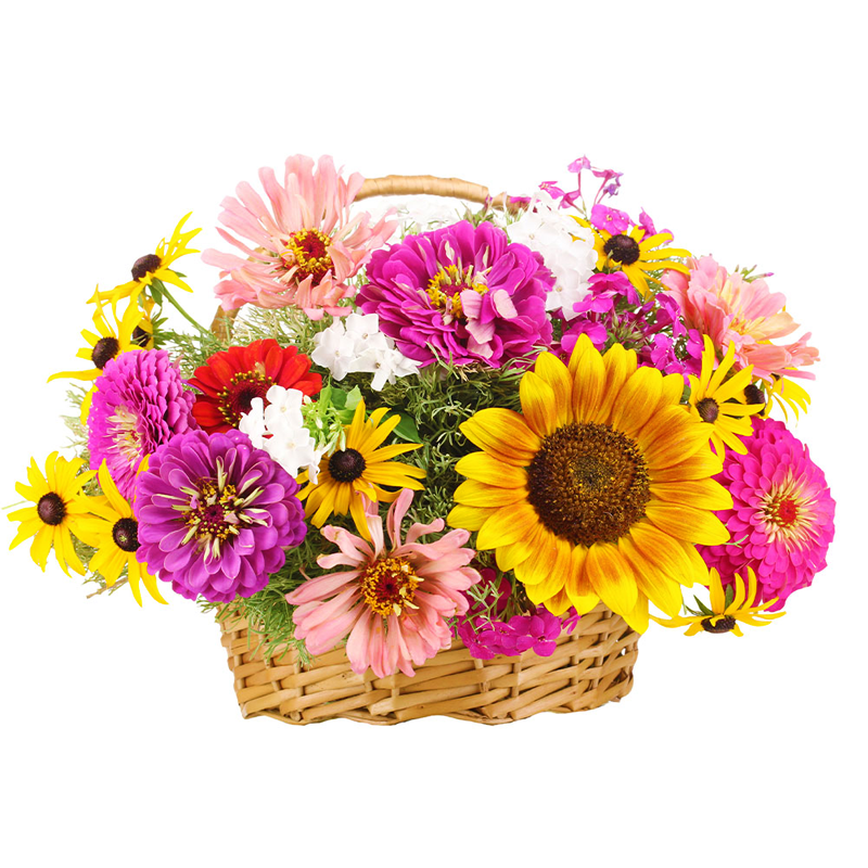 Учительнице